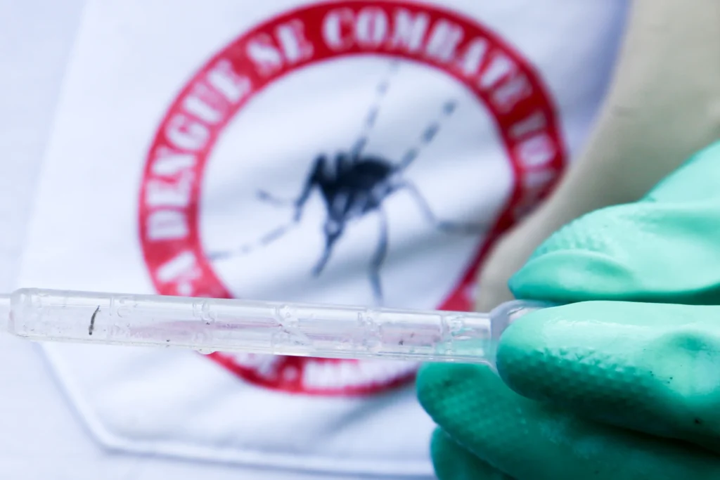 A Prefeitura de Maringá, por meio das Secretaria de Saúde, segue com ações de combate à dengue neste sábado, 6. Os Agentes de Combate à Endemias (ACEs) realizam mutirão com vistorias em residências na região da Zona 7, Jardim Castor, Vila Morangueira e Chácaras Morangueira. 